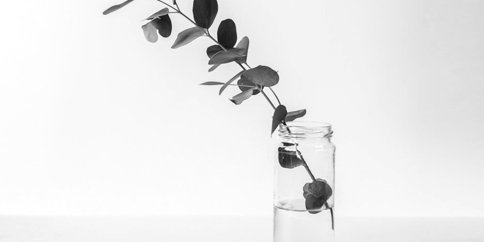 You can start a successful blog and Create Awesome